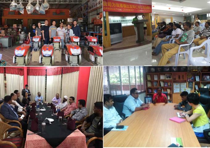 R175A 6HP 4 Stroke Diesel Engine With 1 Pillow Block Bearing 13